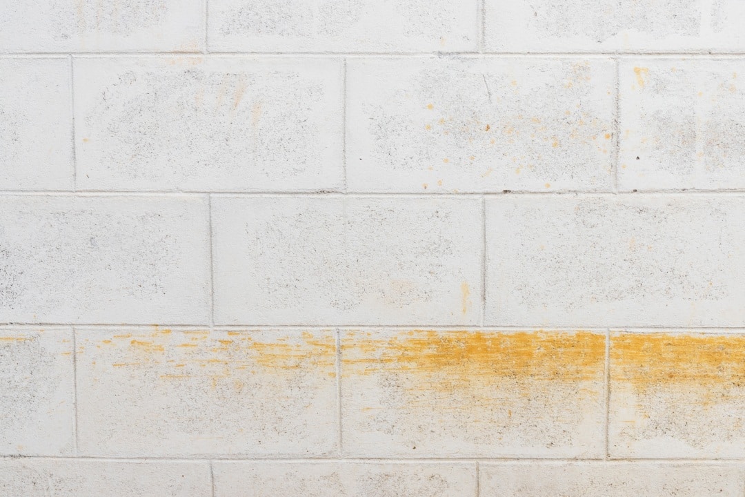 Foundation crawlspace displaying moisture problems and mold growth on structural components