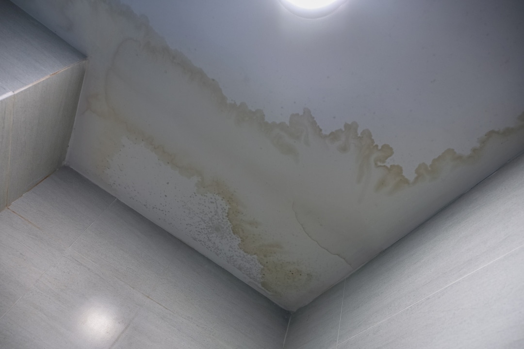  Ceiling showing water stains and discoloration indicating moisture intrusion problems